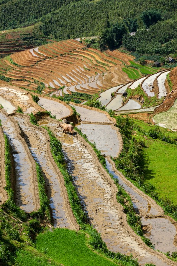 Comment activer la fonctionnalité « Ne pas déranger » sur votre smartphone ?